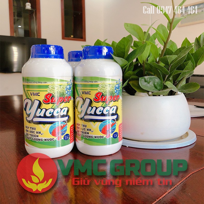 SUPER YUCCA HẤP THỤ KHÍ ĐỘC NH3