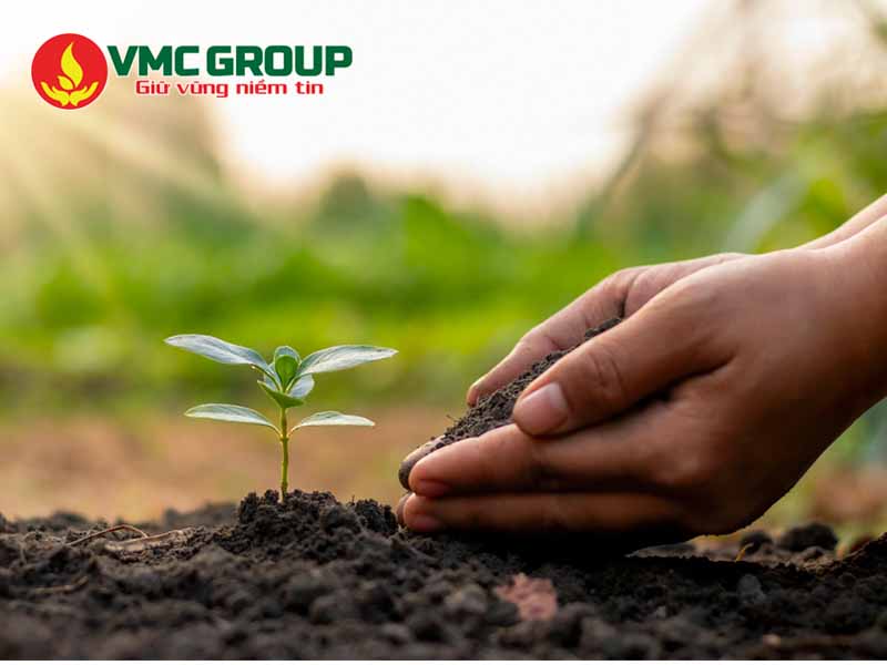 Ứng dụng của Zeolite trong trong các lĩnh vực
