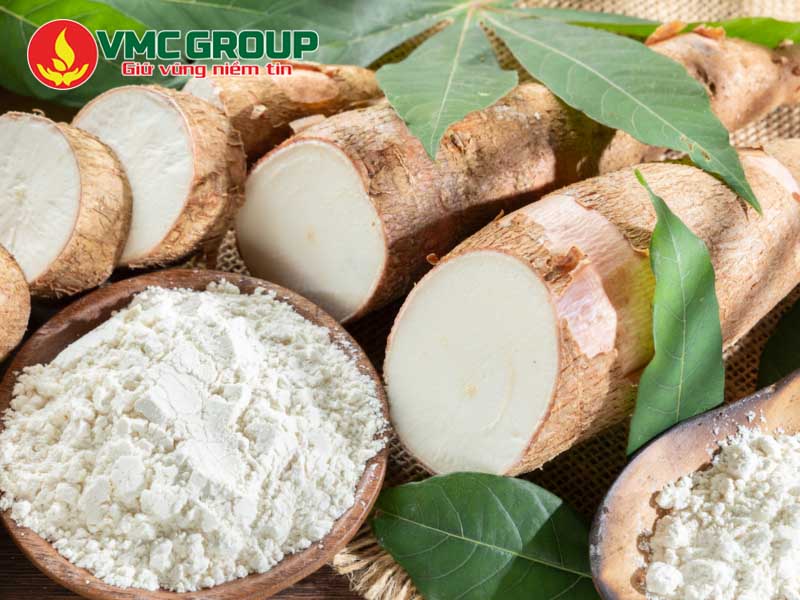 Giới thiệu về tinh bột sắn biến tính