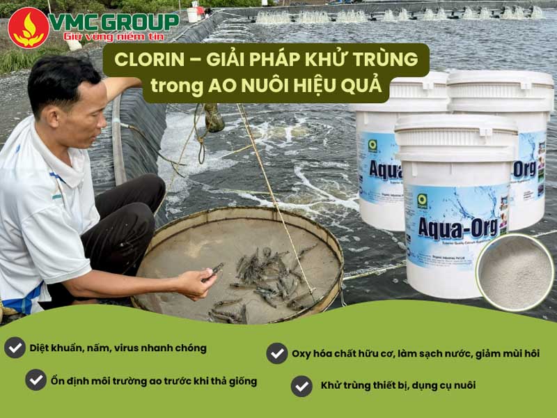 Hướng dẫn sử dụng Clorin Aqua Org an toàn hiệu quả