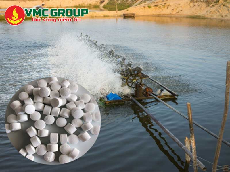 Công dụng oxy viên Trung Quốc trong nuôi tôm