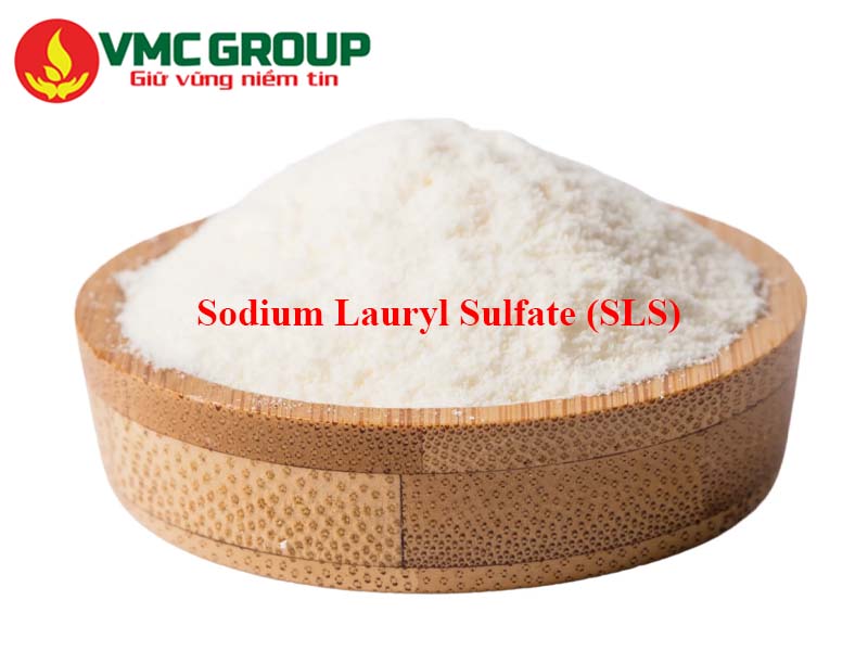 Giới thiệu tổng quan về SLS Indonesia