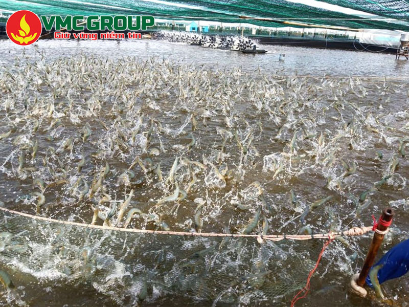 Cách dùng oxy viên hiệu quả